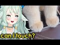 SO CUTE MOMENTS!! AND SOME MESSED UP.. | Unusual Memes v306 React