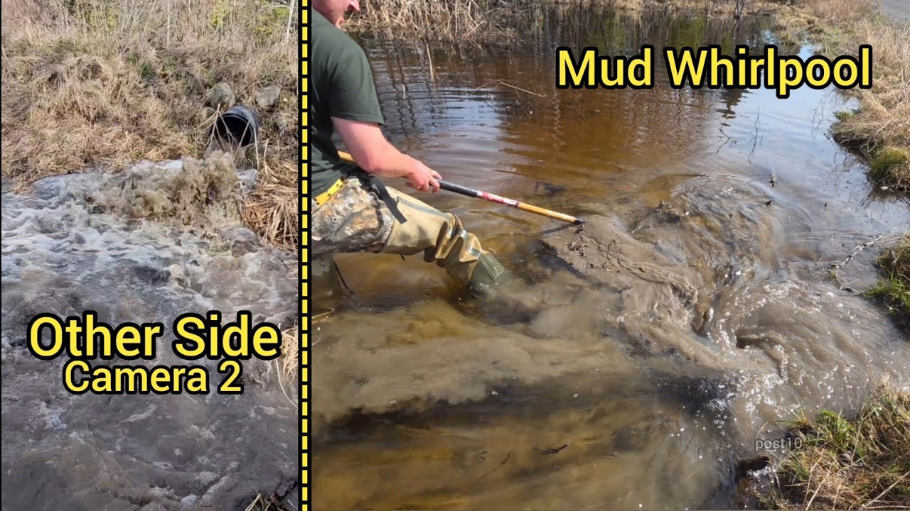 Beaver Dam Impact on Road Drainage Systems