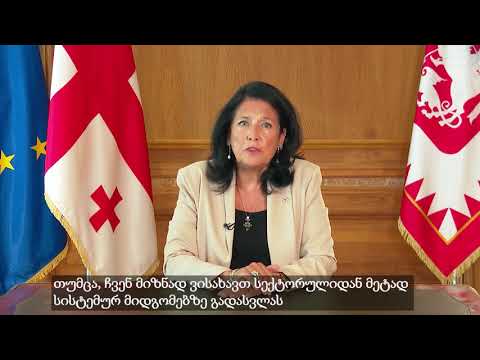 გადაშენების პერიოდში ვიმყოფებით – სალომე ზურაბიშვილი