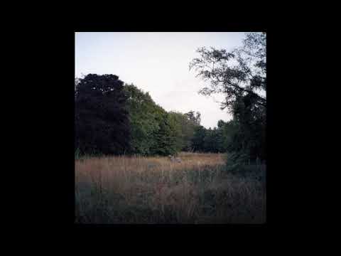 MITÚ VERDES OJOS CHINOS Audio Oficial