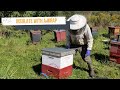 Tips for winterizing your hives