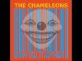 The Chameleons - Anyone Alive?