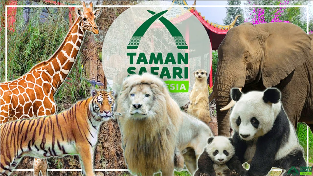 taman safari indonesia ada dimana saja