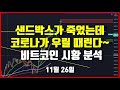 바이러스 월드(Virus World) 어려운 장세에서도 잘 살아남고 있는 신개념 프로젝트!