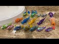 My Hexbug Aquabot & Zuru Robo Fish Collection (In 2021)