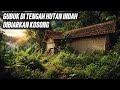 GUBUK TERBENGKALAI DI TENGAH HUTAN SEJUK DAN INDAH