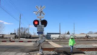 CN E251 at Vinewood Ave RR Crossing in Wyandotte MI on 3-28-26