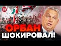 🤯В Венгрии началось ТАКОЕ! ОРБАН вляпался НЕ НА ШУТКУ / Мир еще не видел... @burlakovpro