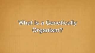 Ethics of Genetically Modified Crops