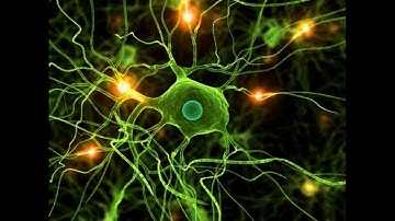 Nhạc NLP (coach Vas) chọn lọc -  Bí quyết Tĩnh Tâm- Nhớ nhanh