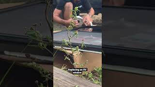 Replacing an RV camper window timelapse #rvlife #rvrepair #florida #bluecollar