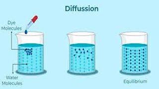 What is diffusion diffusion