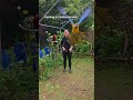 Basic Training 😄 #shorts #tiere #vogel #birds #macaw #parrot #natur #freeflight #training #outdoors