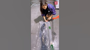 Live fish transportation process 😲 #shorts