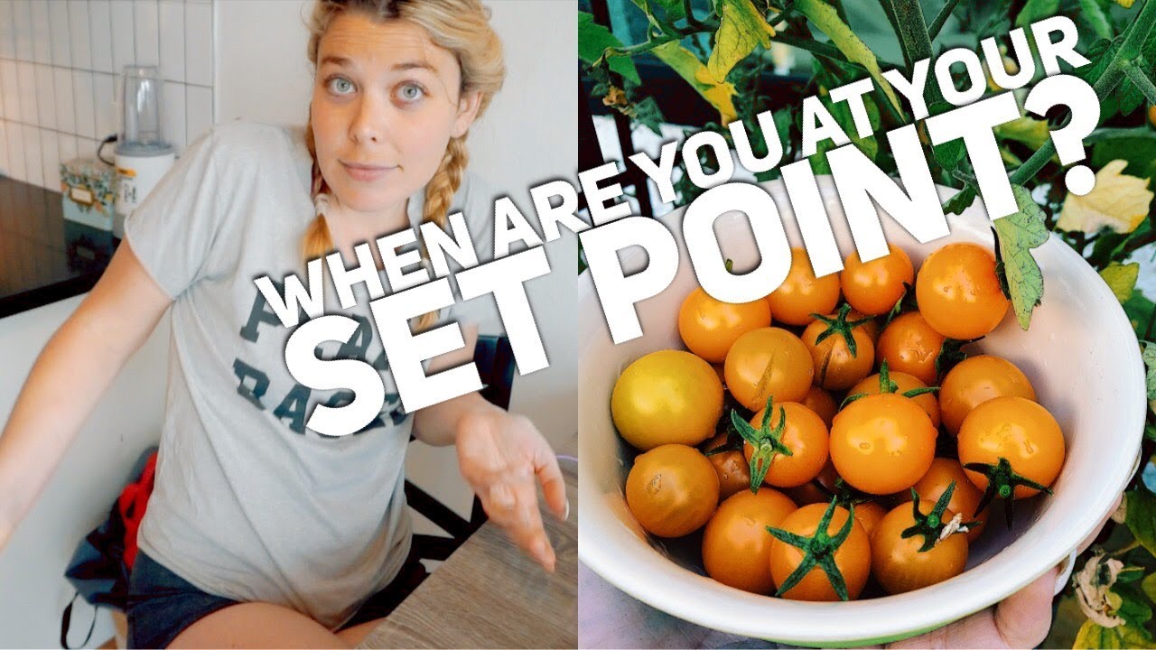 How to tell if you are at your set point (and what I ate today!)