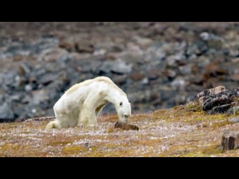 El cambio climático llega para quedarse