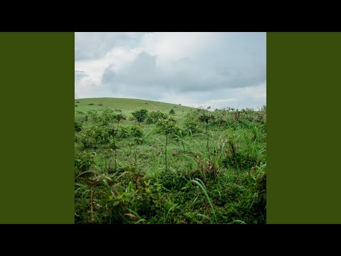 Nature Sounds for Ultimate Relaxation & Focus | Peaceful Ambiance