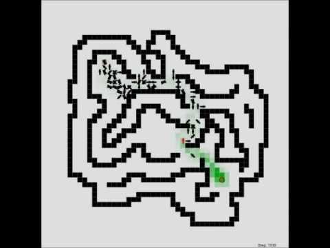 Ant Colony Optimization (AntSIm v1.1) Find an optimal path in labyrinth