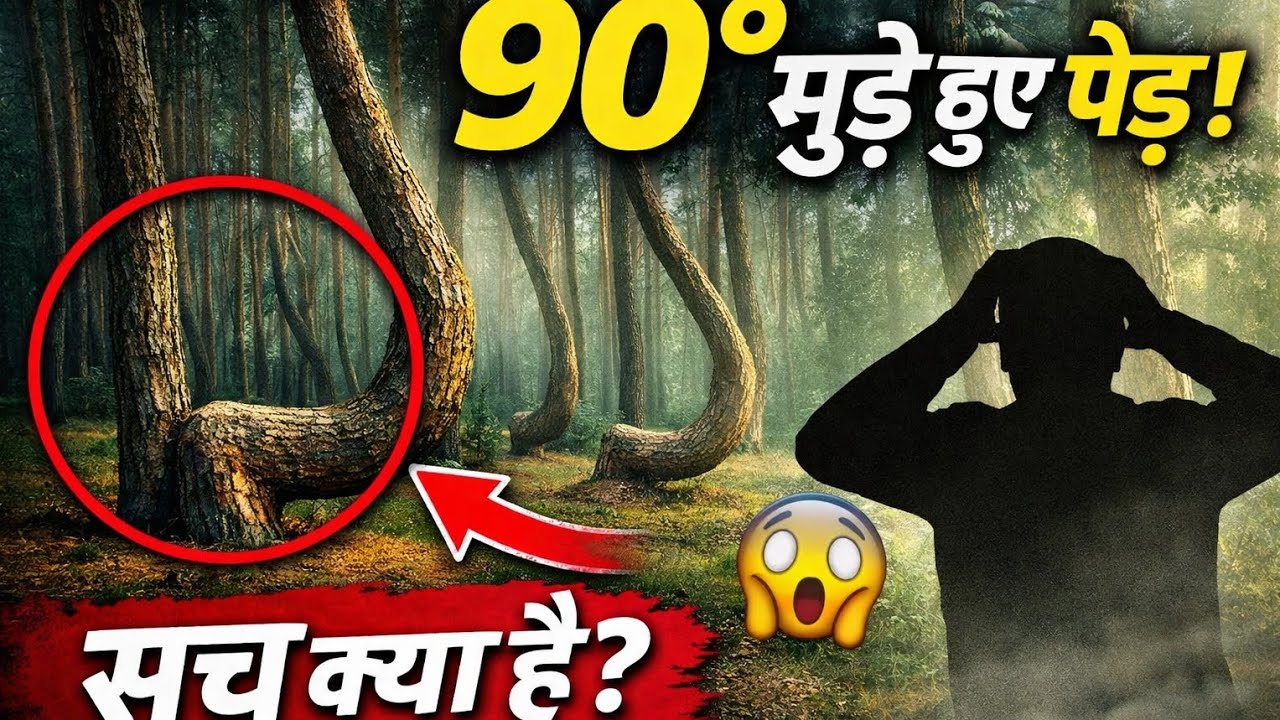 “Science Bhi Hairaan!”“Kaise Mud Gaye Yeh 400 Ped?”