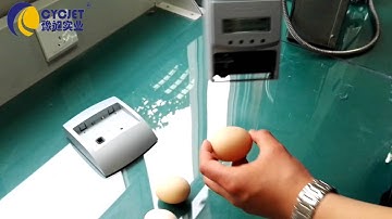 790 Printing eggs from CYCJET/Jetstamp 790/Hand coding machine/Eggs Printing