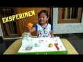 Pixel Eksperimen Benda Tenggelam dan Mengapung | Science Experiments for Kids