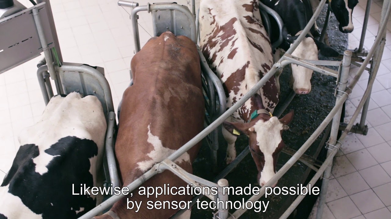 Agrotechnology from Finland – Efficient livestock solut… — Transcript