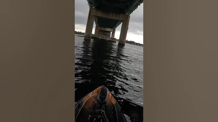 Fishing Under A Bridge For Anything That Bites