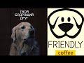 Friendly coffee for instagram  rs cinema  commercial