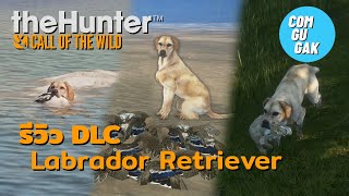 รีวิว DLC Labrador Retriever | theHunter: Call of the Wild