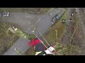 ARBORIST CLUJ - TAIERE ARBORE USAMV CLUJ