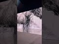 Видео ролик «запах» поучаствовал на фестивале Иван поле…#horse #лошадь #digitalart