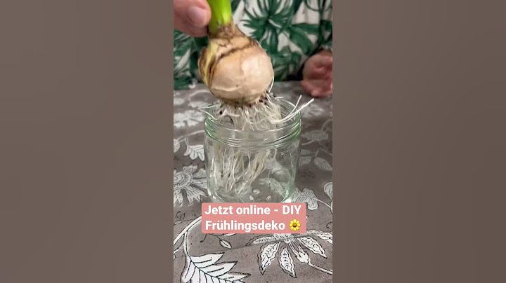 DIY - JUHU die allererste Frühlingsdeko 🤍🥰