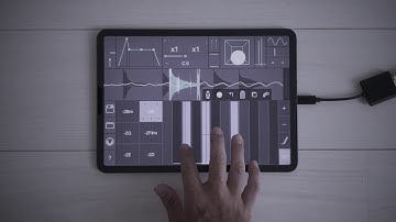 Tardigrain (iOS Music App) | Granular Synth