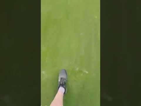 Hole 6 at