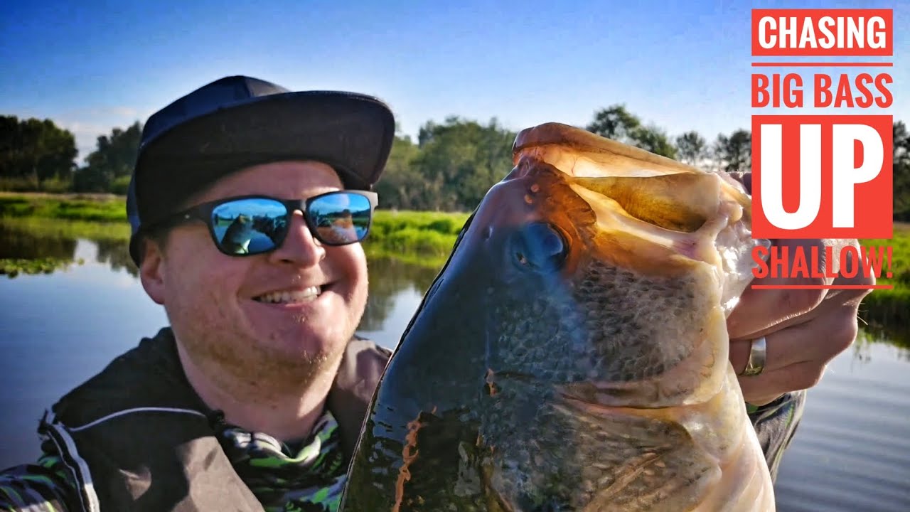 Catching Big Pre Spawn Bass Up Shallow!