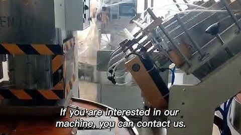 Fully automatic double manipulator blister sealing machine