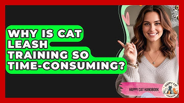 Why Is Cat Leash Training So Time-consuming? - Happy Cat Handbook