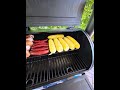 BACK TO PITBOSS #bbqgrill #smallbusiness #views #businesstipsforsmallbusinessowners