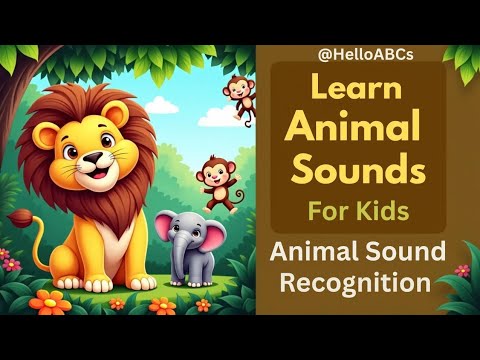 Animals Sound Learning