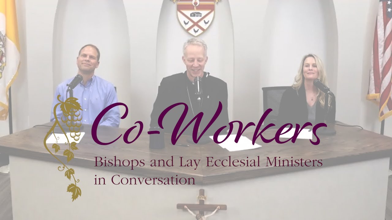Do lay ecclesial ministers have to be ordained?