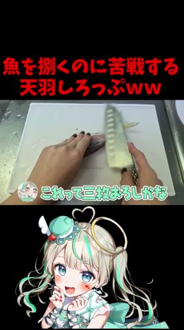 魚を捌くVtuberがヤバいwww　#天羽しろっぷ　#Vtuber #釣り　#アジ