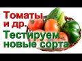 Томаты, перцы, огурцы. Новые сорта. Тест.