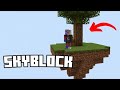 Minecraft Skyblock Sunucusu - Server Tanıtımı - RizonCraft