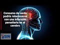 Consumo de cerdo podría relacionarse con una infección parasitaria en el cerebro