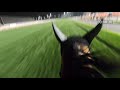 RIDE ON BOARD ALMOND EYE | アーモンドアイと共にメイデン競馬場を駆けよう