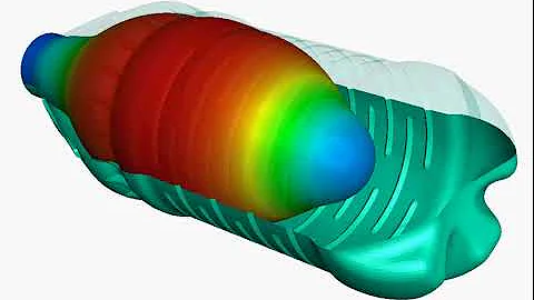 Blow molding simulation of a plastic water with SIMULIA Abaqus | 4RealSim