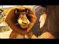 DreamWorks Madagascar | Madagascar Fight Contest | Madagascar : Escape 2 Africa | Kids Movies