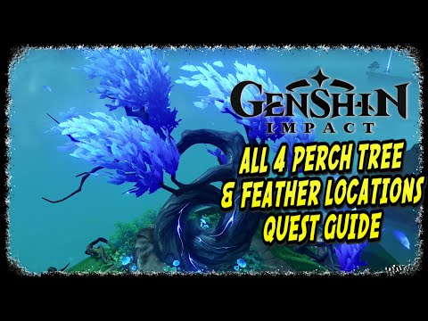 Genshin Impact A Particularly Particular Author Quest Guide (All Perch Tree and Feathers)