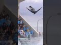 美しすぎるララとトレーナーさんのスカイロケット!! #Shorts #鴨川シーワールド #シャチ #kamogawaseaworld #orca #killerwhale