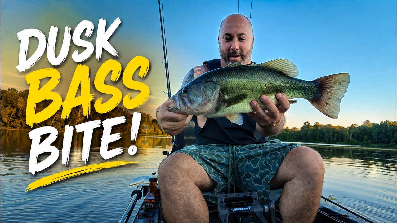 These Bass Couldn't Resist Frogs & Spinnerbaits!